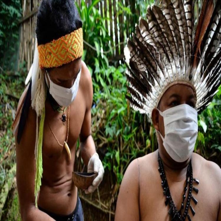 Amazonía: Miniserie sobre Covid-19 para los pueblos indígenas afectados por la pandemia Amazonía: Miniserie sobre Covid-19 para los pueblos indígenas afectados por la pandemia