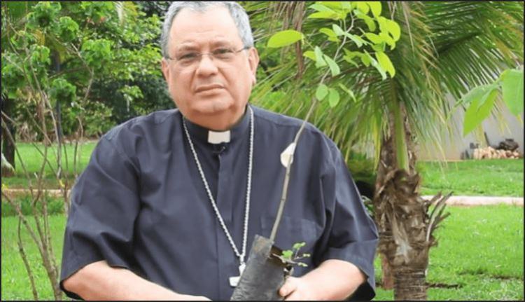 Brasil: la Iglesia invita a plantar un árbol en memoria de los fieles difuntos Brasil: la Iglesia invita a plantar un árbol en memoria de los fieles difuntos