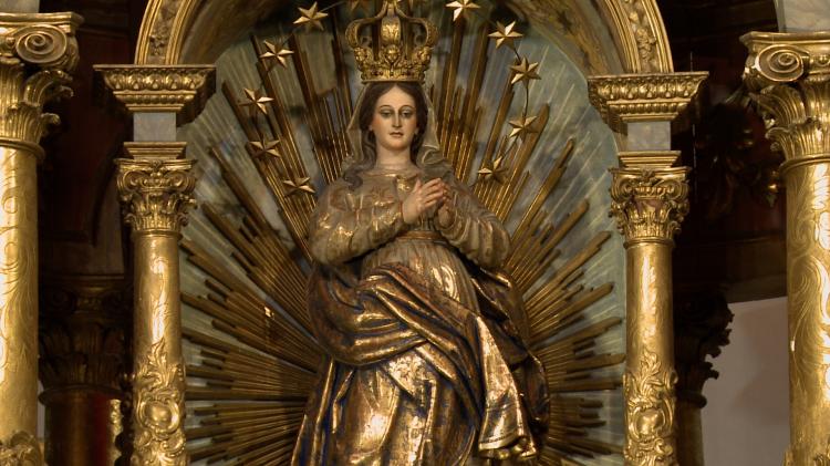 En el día de la Inmaculada Concepción, los obispos argentinos llamaron a cuidar la vida En el día de la Inmaculada Concepción, los obispos argentinos llamaron a cuidar la vida