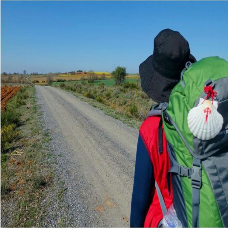 El Camino de Santiago reabrirá el 1 de julio El Camino de Santiago reabrirá el 1 de julio