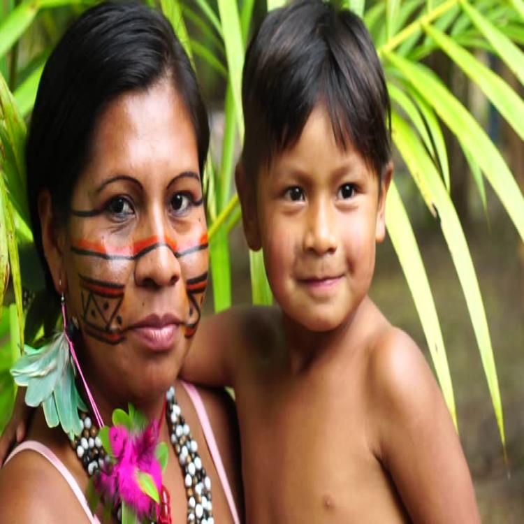 El Celam anunció el nacimiento de la Conferencia Eclesial de la Amazonía El Celam anunció el nacimiento de la Conferencia Eclesial de la Amazonía