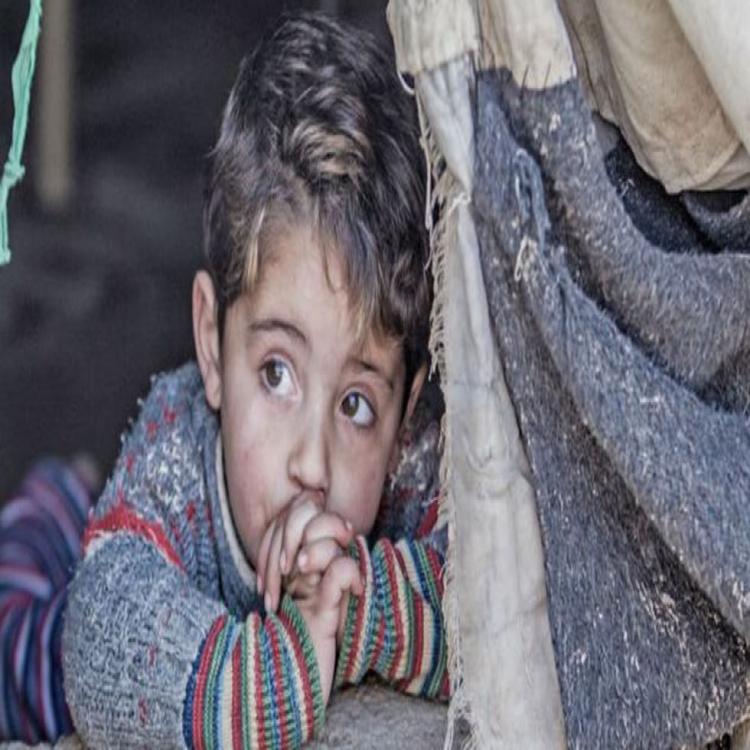 El Papa pidió rezar por la situación "dramática" en Siria y El Libano El Papa pidió rezar por la situación "dramática" en Siria y El Libano