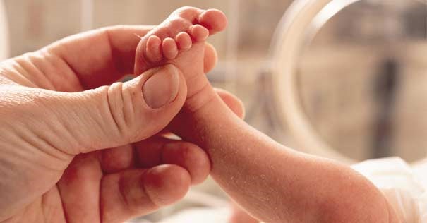 Exalumnos de colegios católicos repudían protocolo del aborto Exalumnos de colegios católicos repudían protocolo del aborto