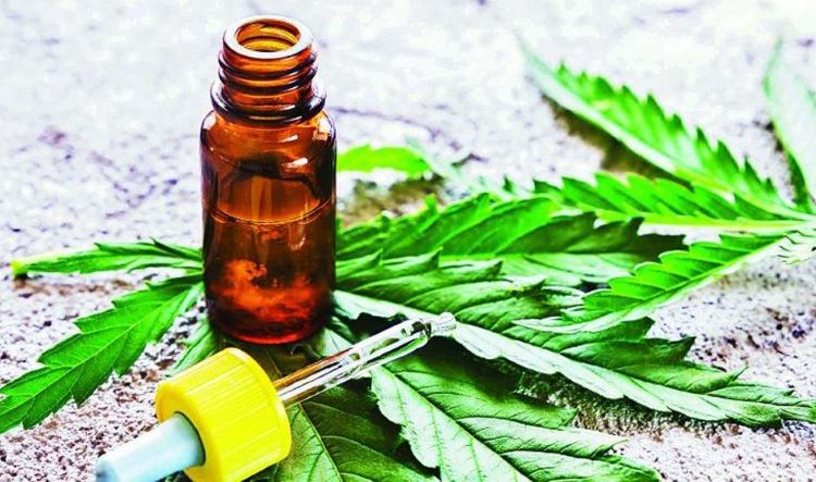 La Pastoral de Adicciones lomense advierte sobre los riesgos del cultivo de cannabis La Pastoral de Adicciones lomense advierte sobre los riesgos del cultivo de cannabis