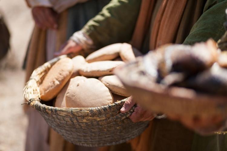Mons. Scheinig animó a actuar con "la lógica del Reino" Mons. Scheinig animó a actuar con "la lógica del Reino"