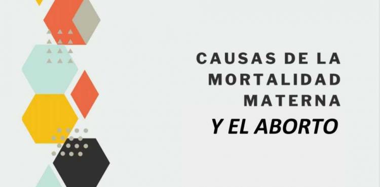 Nuevo informe del Cemais: "Causas de la mortalidad materna y el aborto". Nuevo informe del Cemais: "Causas de la mortalidad materna y el aborto".