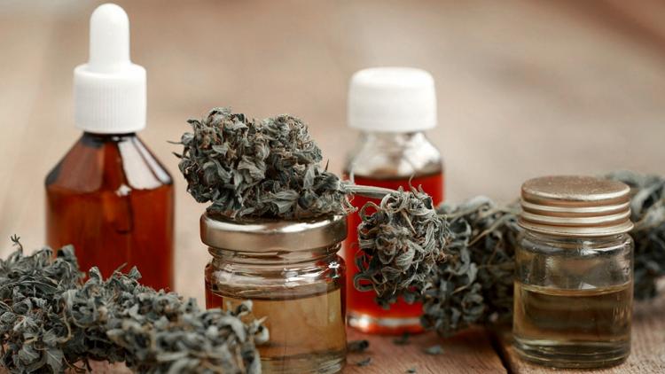 Preocupa a la Pastoral de Adicciones la ley de uso medicinal del cannabis Preocupa a la Pastoral de Adicciones la ley de uso medicinal del cannabis