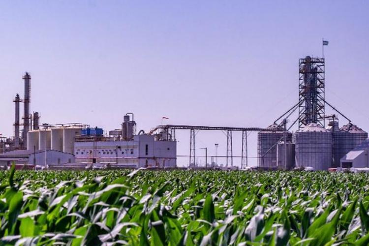 CNJP advierte sobre proyecto de ley de Biocombustible CNJP advierte sobre proyecto de ley de Biocombustible