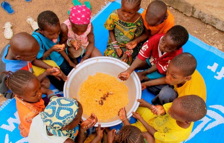 El Papa a la FAO: Superar la fría lógica del mercado y fortalecer la de la solidaridad El Papa a la FAO: Superar la fría lógica del mercado y fortalecer la de la solidaridad