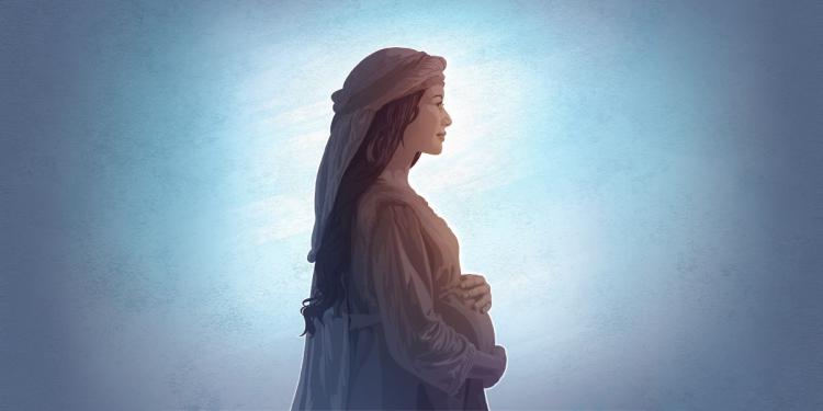 "Estamos llamados a cuidar y promover la vida frágil, expuesta o en riesgo" "Estamos llamados a cuidar y promover la vida frágil, expuesta o en riesgo"