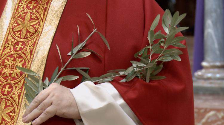La misa del Domingo de Ramos, por radio y TV La misa del Domingo de Ramos, por radio y TV