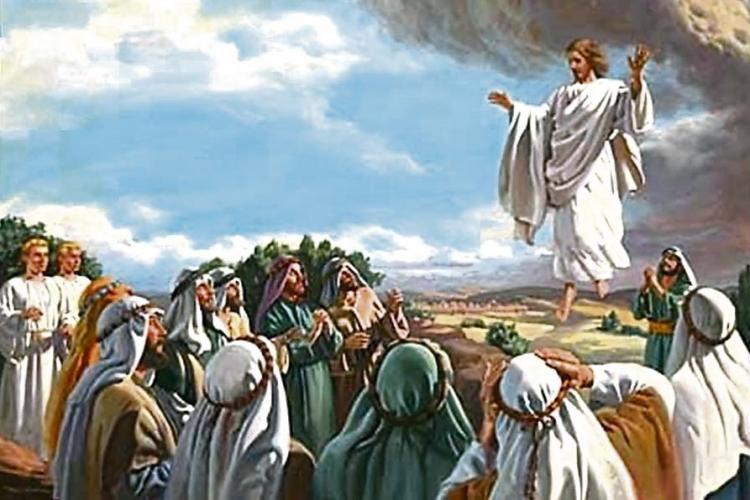 Mons. Castagna: "La fórmula trinitaria nos regenera en el Bautismo"