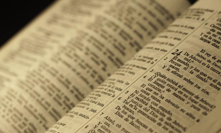 Neuquén: Especialistas animaron al encuentro con Jesús en la Palabra Neuquén: Especialistas animaron al encuentro con Jesús en la Palabra