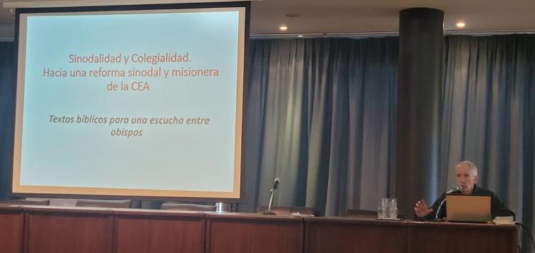 Asamblea Plenaria: los obispos reflexionan sobre la colegialidad y la sinodalidad Asamblea Plenaria: los obispos reflexionan sobre la colegialidad y la sinodalidad