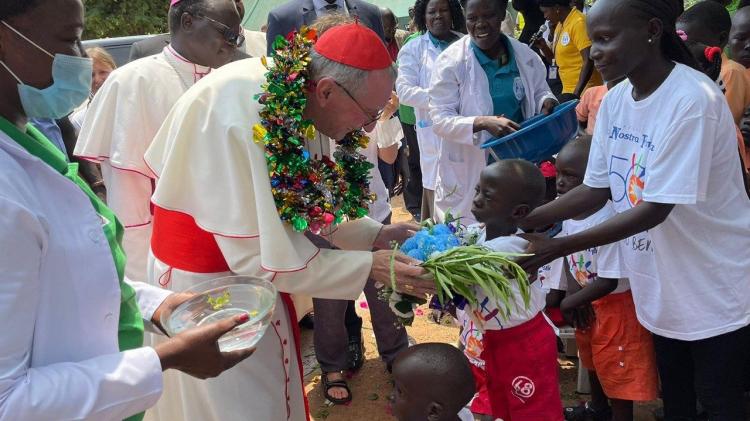 Cardenal Parolin: 'África es una tierra de esperanza' Cardenal Parolin: 'África es una tierra de esperanza'
