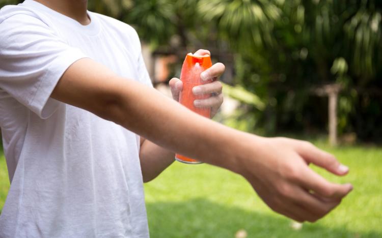 Cáritas Argentina distribuirá cincuenta mil repelentes Cáritas Argentina distribuirá cincuenta mil repelentes