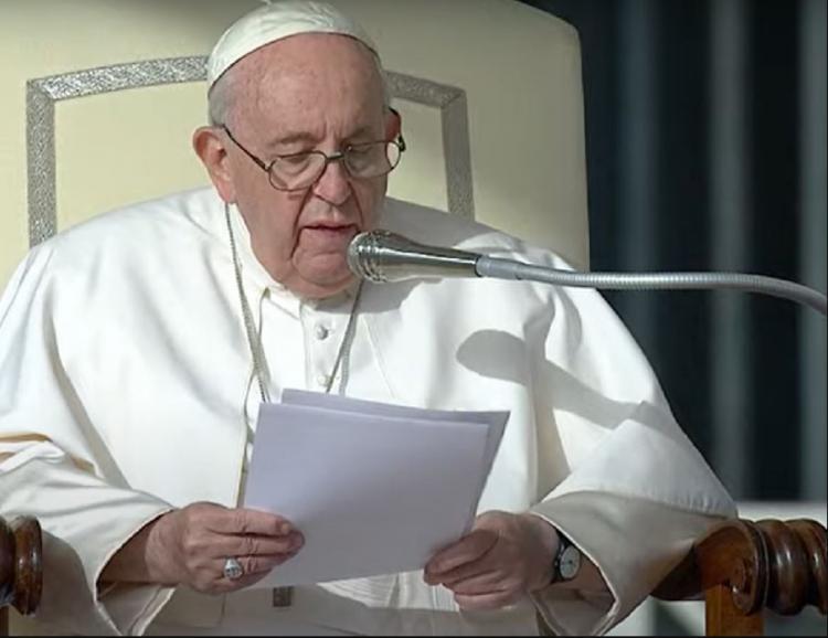 Catequesis del Papa: Quienes siguen al Señor no se dejan guiar por la desolación Catequesis del Papa: Quienes siguen al Señor no se dejan guiar por la desolación