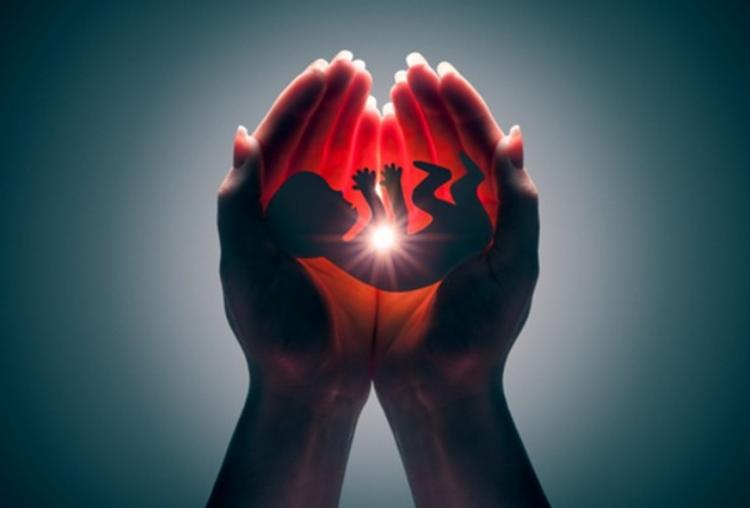 Chile: 'Que toda vida humana sea acogida y cuidada sin excepción', piden los obispos