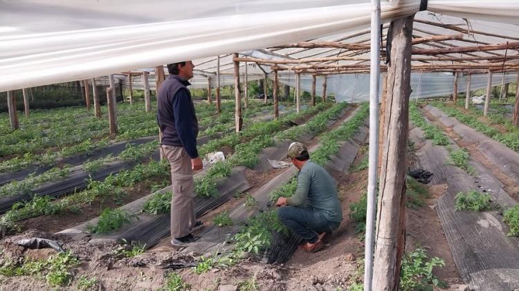 Corrientes: preocupación por el cierre del Instituto Nacional de Agronomía Familiar Corrientes: preocupación por el cierre del Instituto Nacional de Agronomía Familiar
