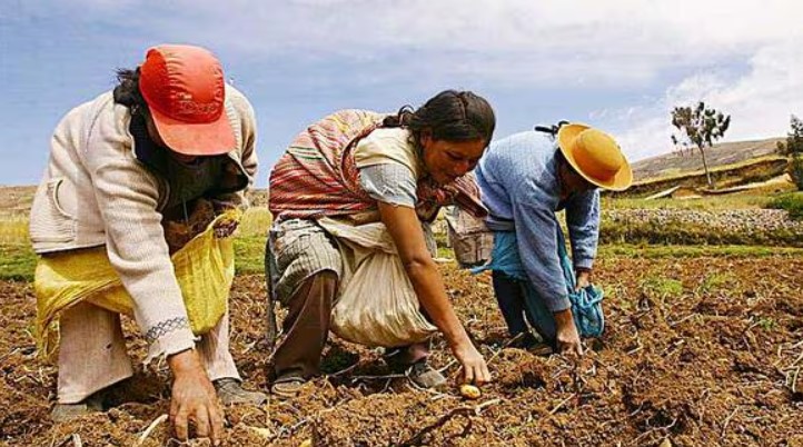 Día Mundial de la Alimentación: el Papa denuncia el 'flagelo del hambre' Día Mundial de la Alimentación: el Papa denuncia el 'flagelo del hambre'