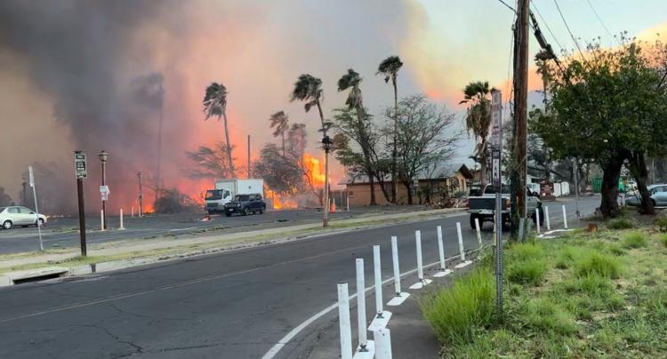 Dolor del Papa por las víctimas de los incendios en Hawái Dolor del Papa por las víctimas de los incendios en Hawái