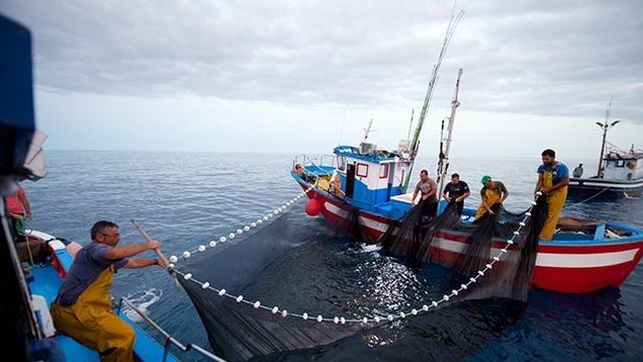 El Card. Czerny pidió que se respeten los derechos de los trabajadores del mar El Card. Czerny pidió que se respeten los derechos de los trabajadores del mar