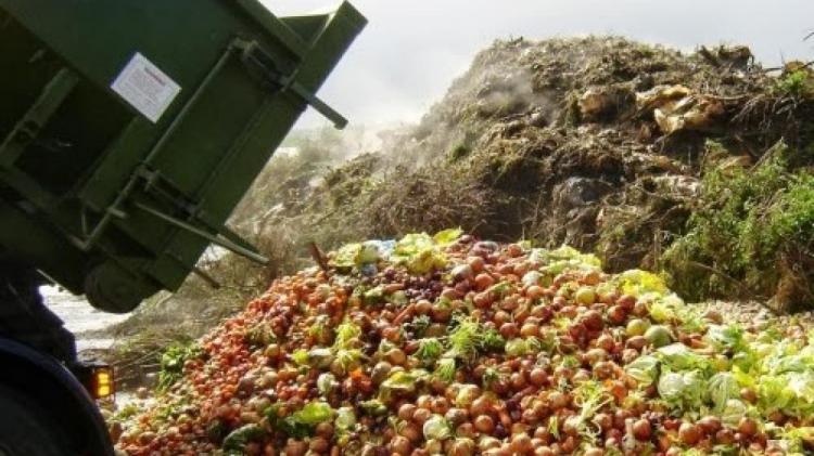 El Papa: 'Los alimentos desperdiciados podrían terminar con el hambre' El Papa: 'Los alimentos desperdiciados podrían terminar con el hambre'