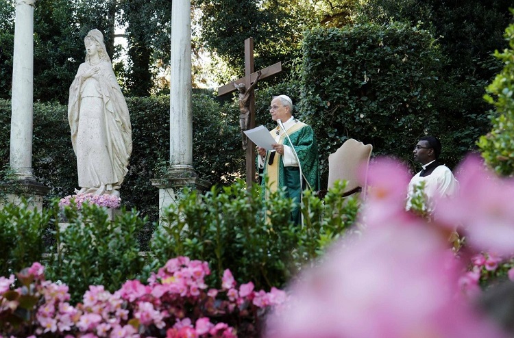 El Papa invitó a celebrar la Jornada de Oración por el Cuidado de la Creación