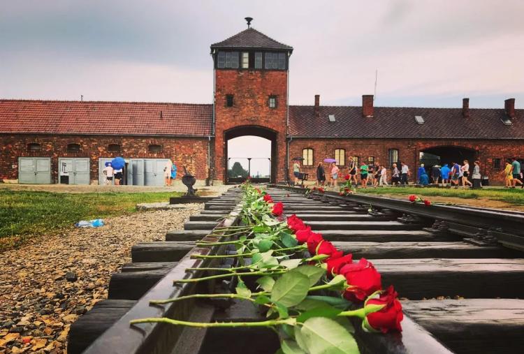 El Papa reafirma el rechazo de la Iglesia al antisemitismo y a toda discriminación