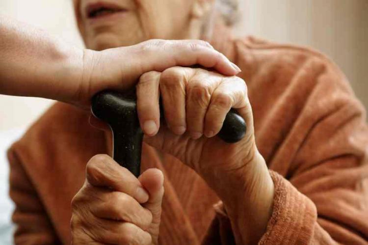 El Papa recuerda el Día Mundial del Alzheimer El Papa recuerda el Día Mundial del Alzheimer