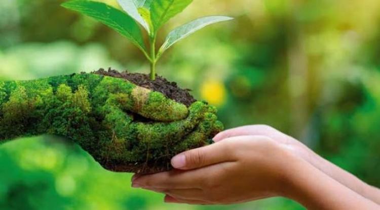 Encuentro Laudato si' y Economía Integral para Jóvenes Encuentro Laudato si' y Economía Integral para Jóvenes