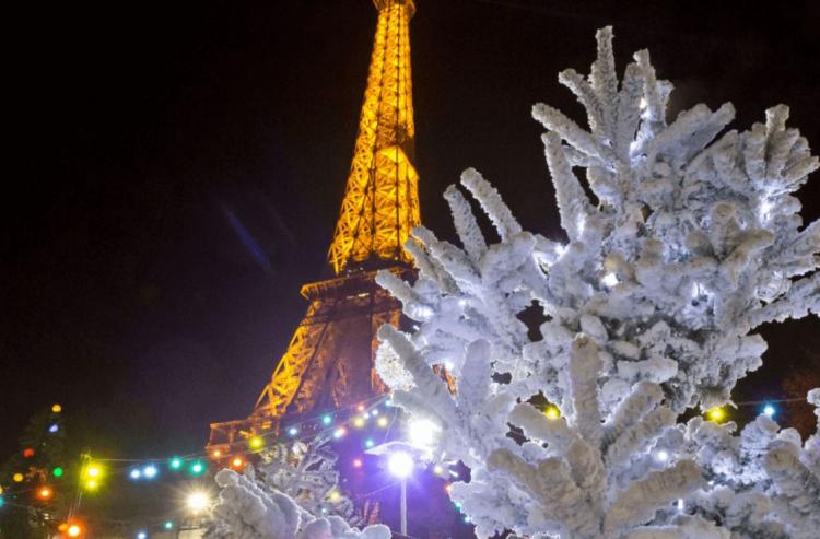 Francia: ante proyectos de eutanasia, la Iglesia rezó por la vida en Navidad Francia: ante proyectos de eutanasia, la Iglesia rezó por la vida en Navidad