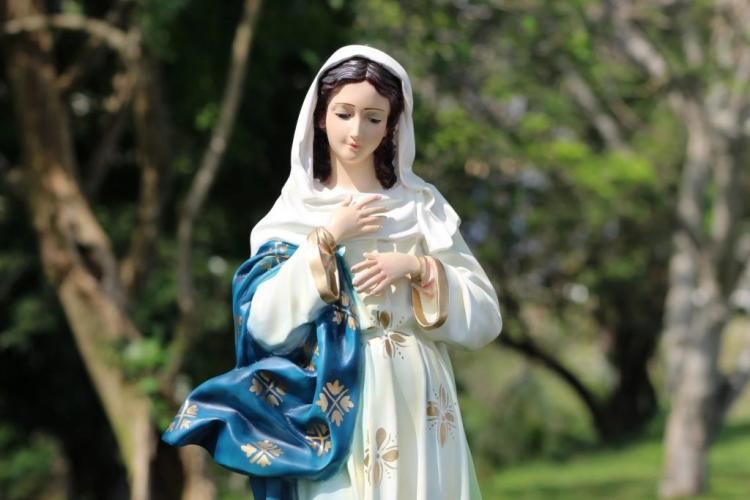 Inmaculada Concepción: en la Argentina, la solemnidad se celebra en domingo Inmaculada Concepción: en la Argentina, la solemnidad se celebra en domingo
