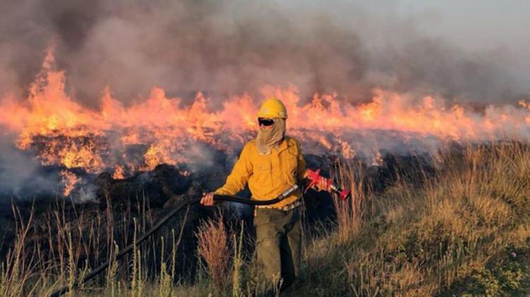 La asistencia de Cáritas, fundamental en los incendios de Corrientes y Misiones La asistencia de Cáritas, fundamental en los incendios de Corrientes y Misiones