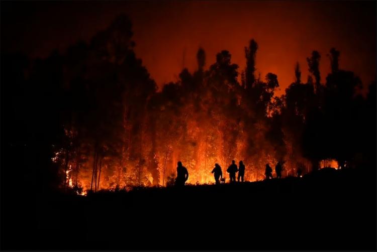 La iglesia en Chile, movilizada en ayuda de los afectados por los incendios La iglesia en Chile, movilizada en ayuda de los afectados por los incendios