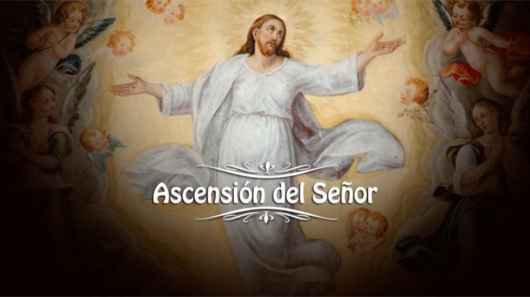 La misa de la Ascensión del Señor será transmitida en vivo por diferentes plataformas La misa de la Ascensión del Señor será transmitida en vivo por diferentes plataformas