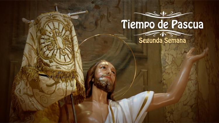 La misa del segundo domingo de Pascua se trasmitirá por TV, radio y streaming La misa del segundo domingo de Pascua se trasmitirá por TV, radio y streaming
