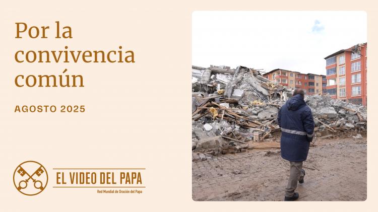 León XIV advierte sobre el peligro de la división social y llama a construir fraternidad