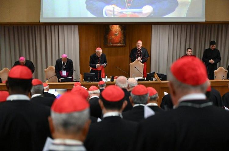 Los cardenales reflexionan sobre la Iglesia, el mundo y las cualidades del próximo Papa Los cardenales reflexionan sobre la Iglesia, el mundo y las cualidades del próximo Papa