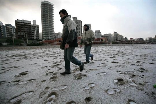 Mar del Plata: comunicado ante la muerte de una persona en situación de calle Mar del Plata: comunicado ante la muerte de una persona en situación de calle
