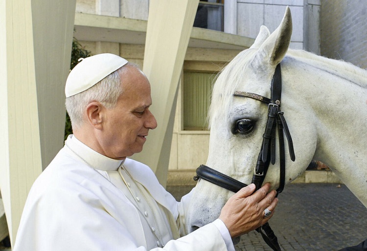 Qué hará el Vaticano con el caballo 'Proton' que le regalaron al Papa