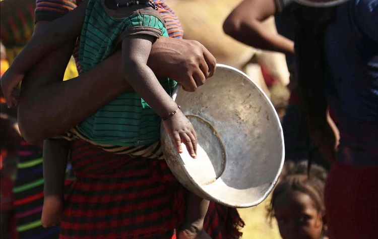 Mensaje del Papa a la FAO: No usar el hambre como arma de guerra Mensaje del Papa a la FAO: No usar el hambre como arma de guerra