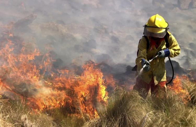 Mons. Araya: 'Que se terminen los incendios y se agrande la compasión entre nosotros' Mons. Araya: 'Que se terminen los incendios y se agrande la compasión entre nosotros'