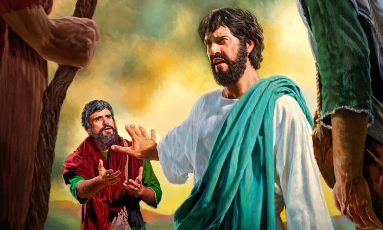Mons. Castagna: 'Encontrar toda verdad en Quien es la Verdad' Mons. Castagna: 'Encontrar toda verdad en Quien es la Verdad'