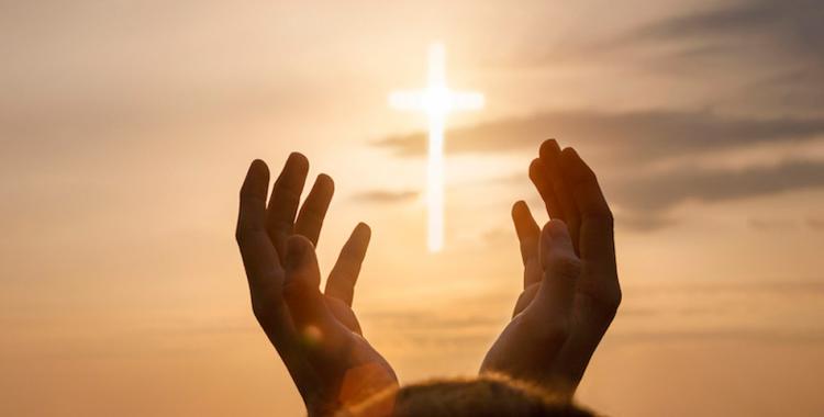 Mons. Castagna: 'La ley suprema del Reino de los Cielos es el amor' Mons. Castagna: 'La ley suprema del Reino de los Cielos es el amor'