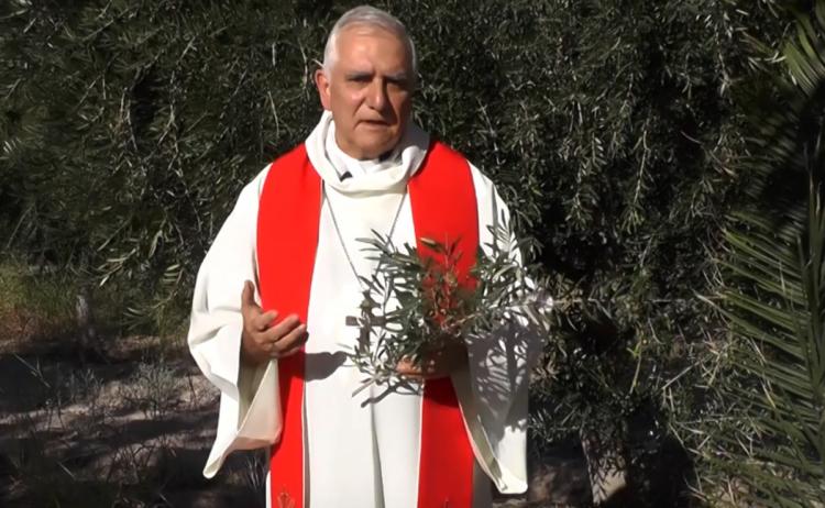 Mons. Lozano: 'Los ramos, un emblema de fe' Mons. Lozano: 'Los ramos, un emblema de fe'