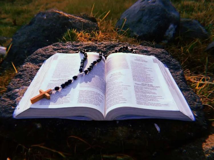 Mons. Lozano: 'La Biblia, una Palabra que libera' Mons. Lozano: 'La Biblia, una Palabra que libera'