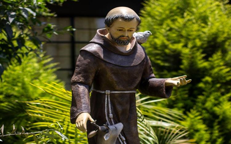 Mons. Olivera: la grandeza de san Francisco le viene de su 'pequeñez' y su despojo Mons. Olivera: la grandeza de san Francisco le viene de su 'pequeñez' y su despojo
