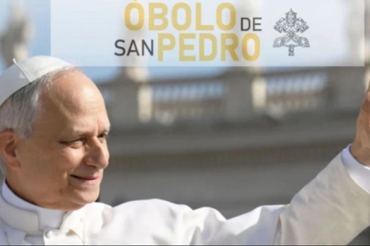 Óbolo de San Pedro: leve aumento en las donaciones de la Colecta 2024 Óbolo de San Pedro: leve aumento en las donaciones de la Colecta 2024