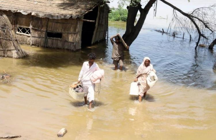 El Papa donó 100 mil dólares para los afectados por las inundaciones en Pakistán El Papa donó 100 mil dólares para los afectados por las inundaciones en Pakistán